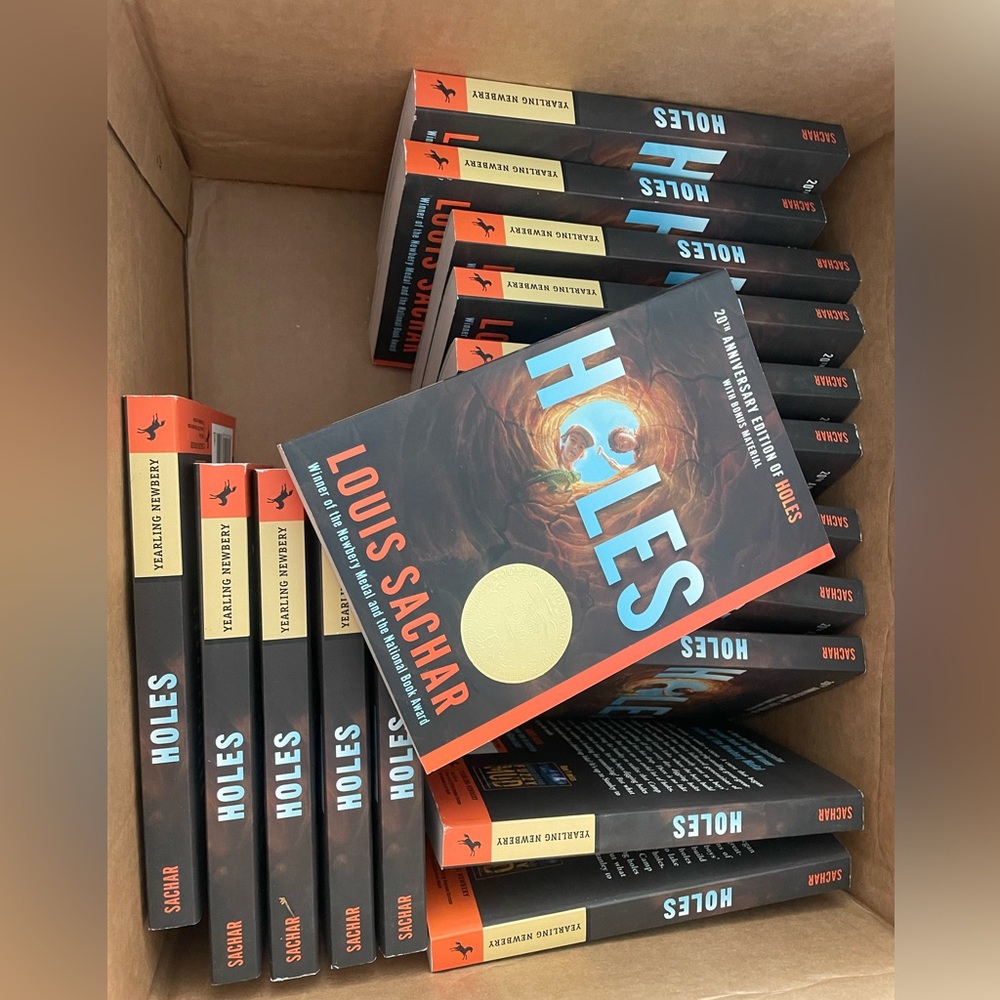 Class Set of 17 "Holes" by Louis Sachar – Brand New Condition!
